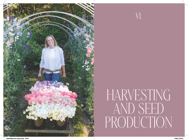 Book - Sweet Pea School