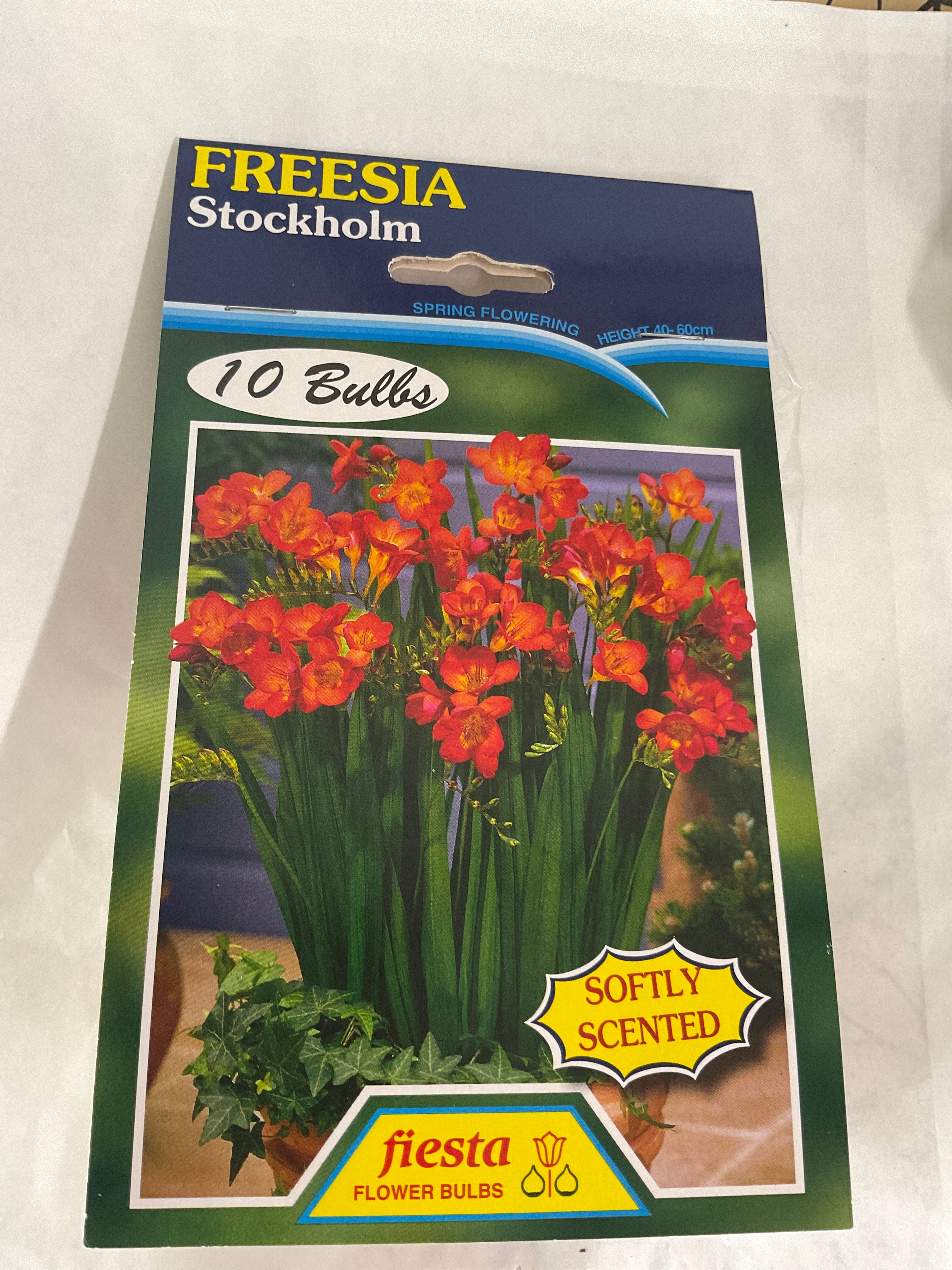 Bulb - FREESIA - Stockholm Pk 10