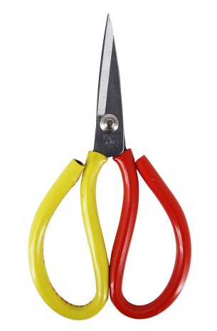 Scissors - Florist