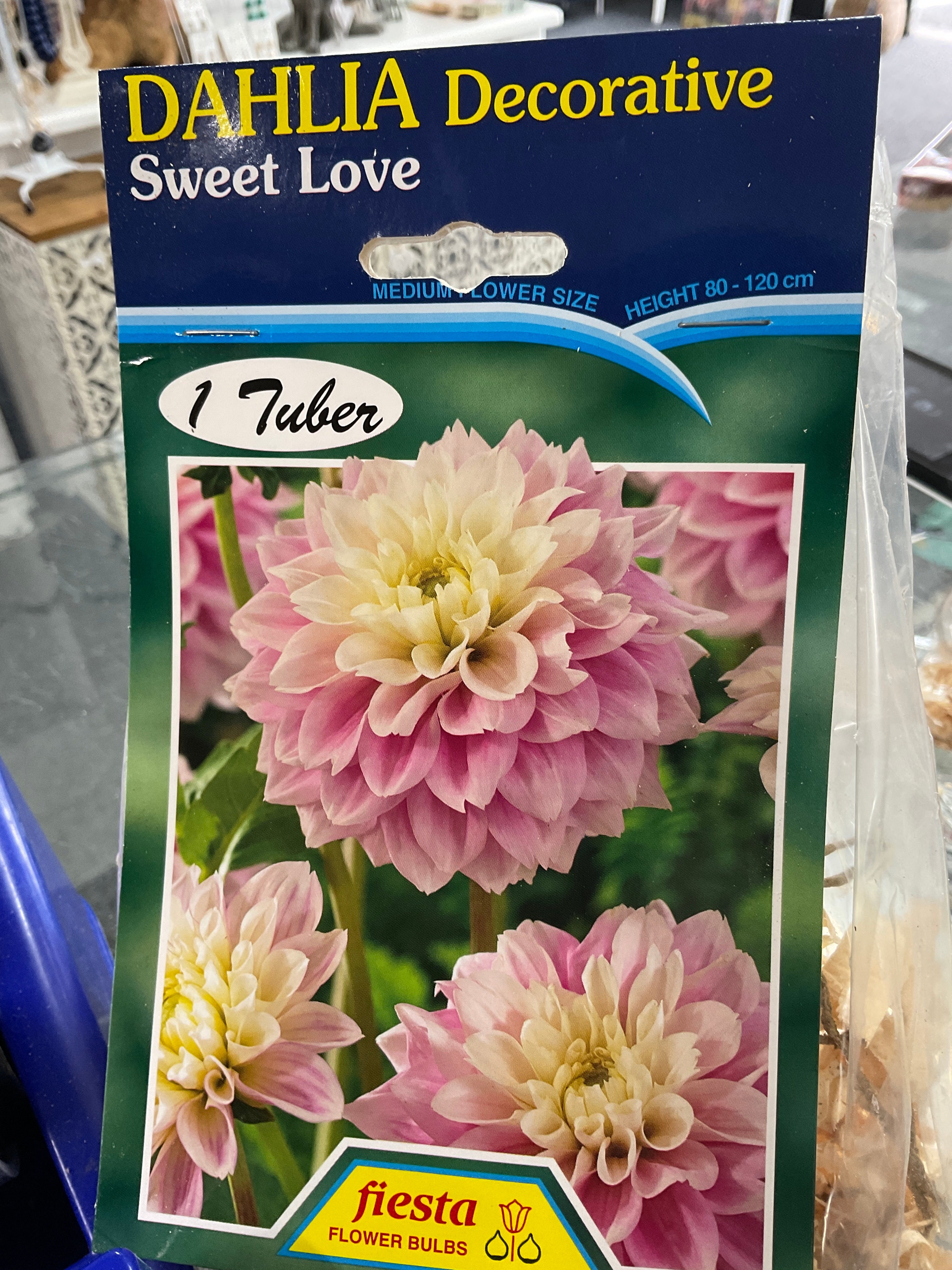 Dahlia Tuber - Sweet Love