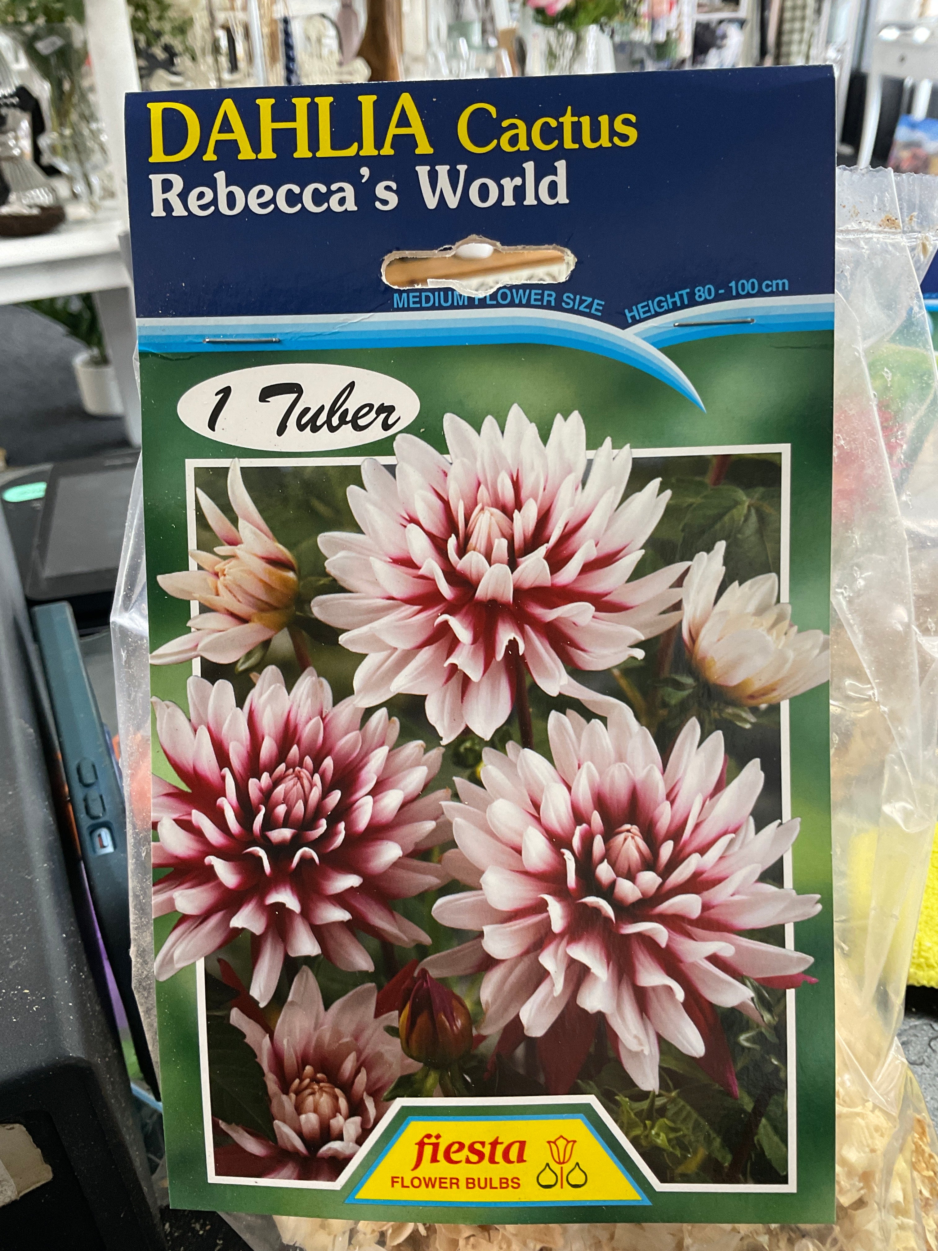 Dahlia Tuber - Rebecca’s World