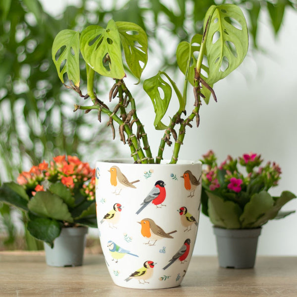 Planter - Bird Ceramic Indoor Pot