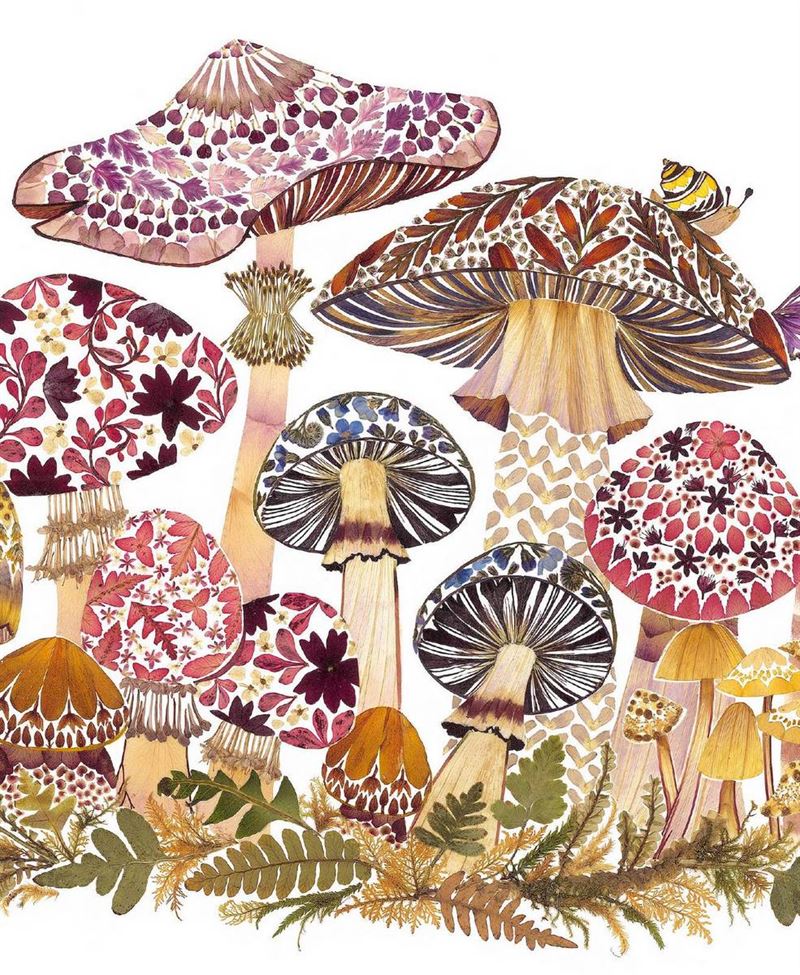 Card - Fabulous Fungi