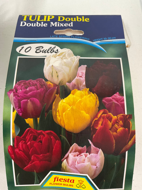 Bulb - TULIP - Double Mixed 10
