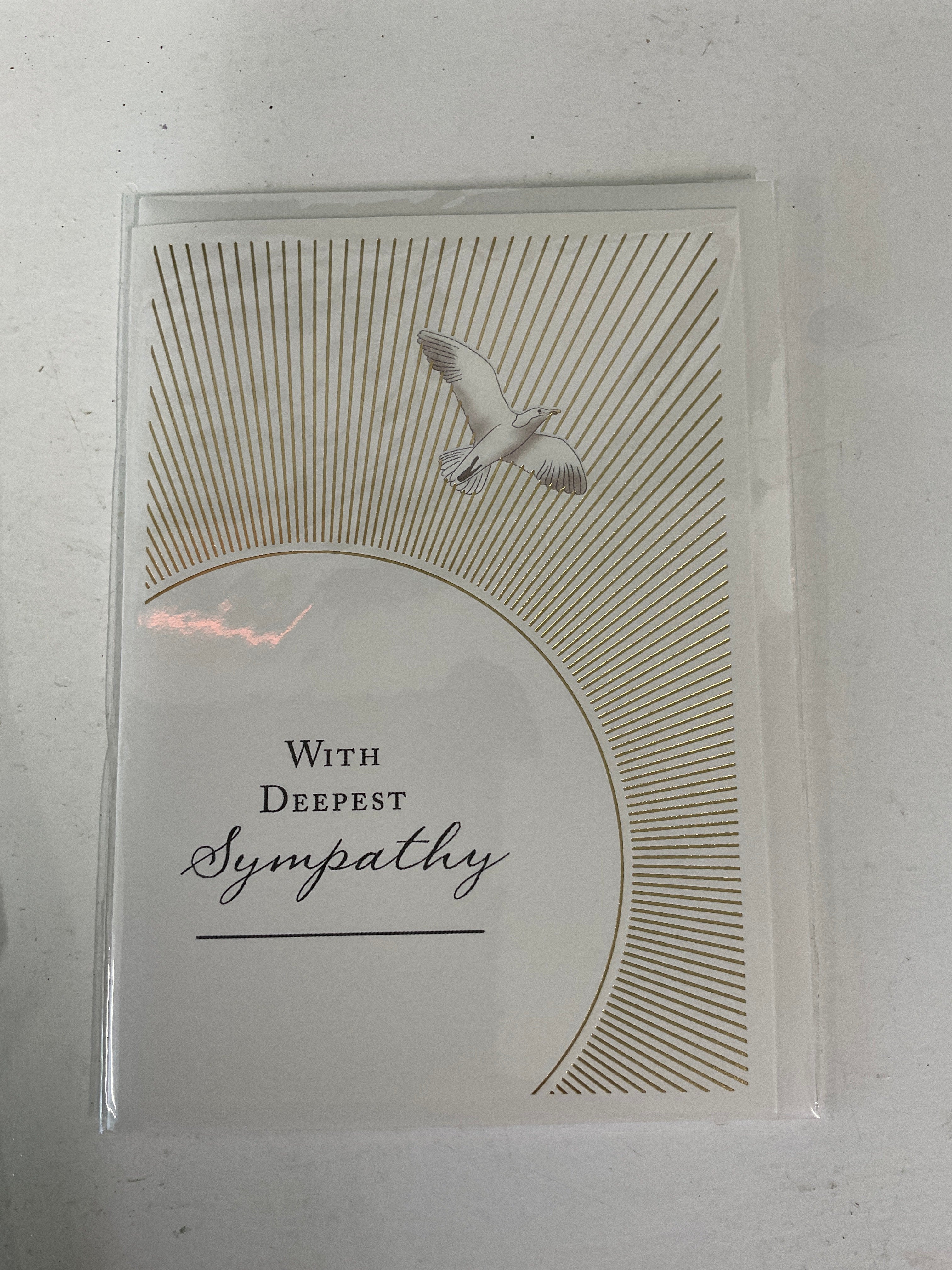 Sympathy Card - with Deepest Sympathy Flying Seagull