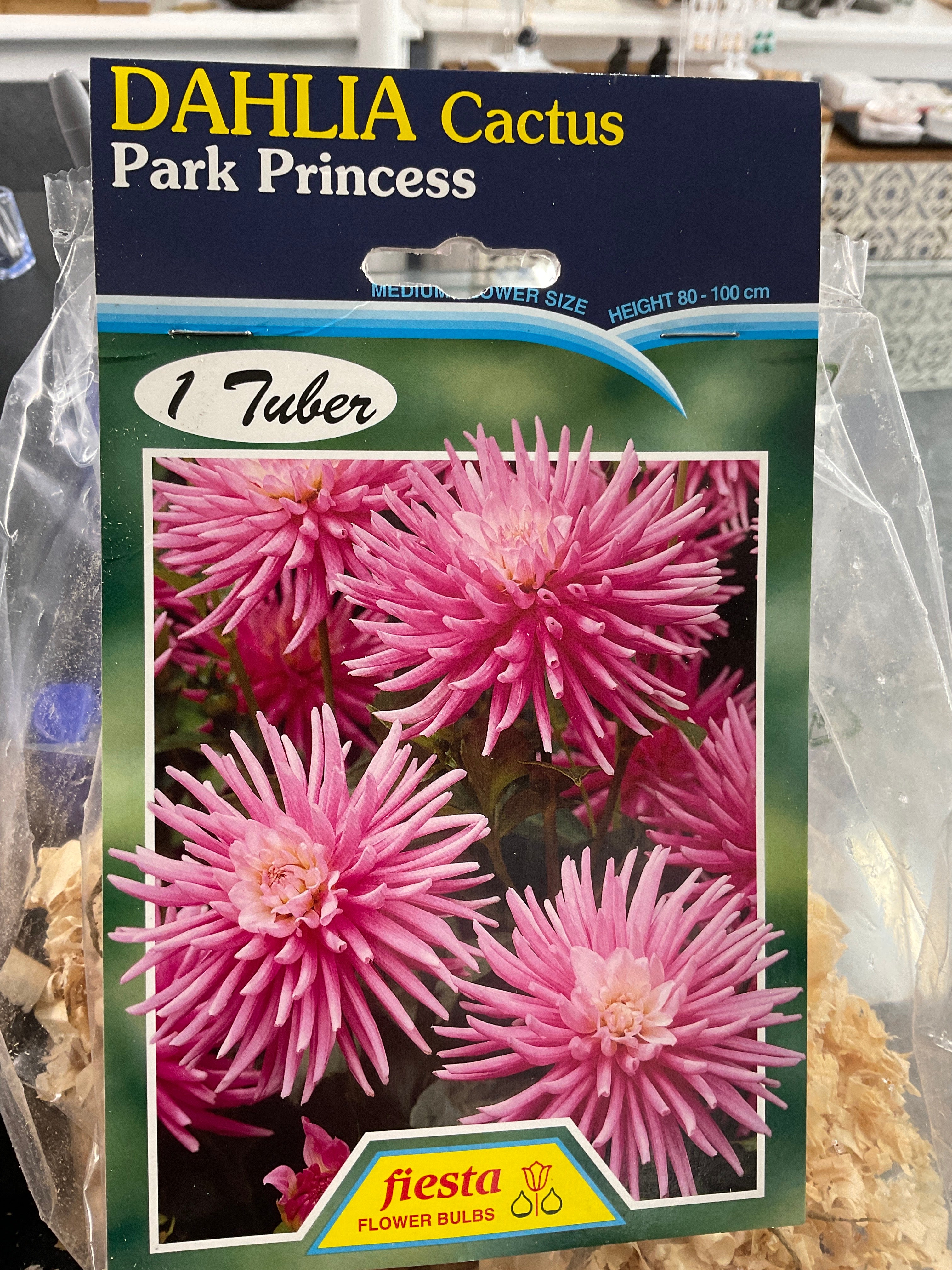 Dahlia Tuber - Park Princess