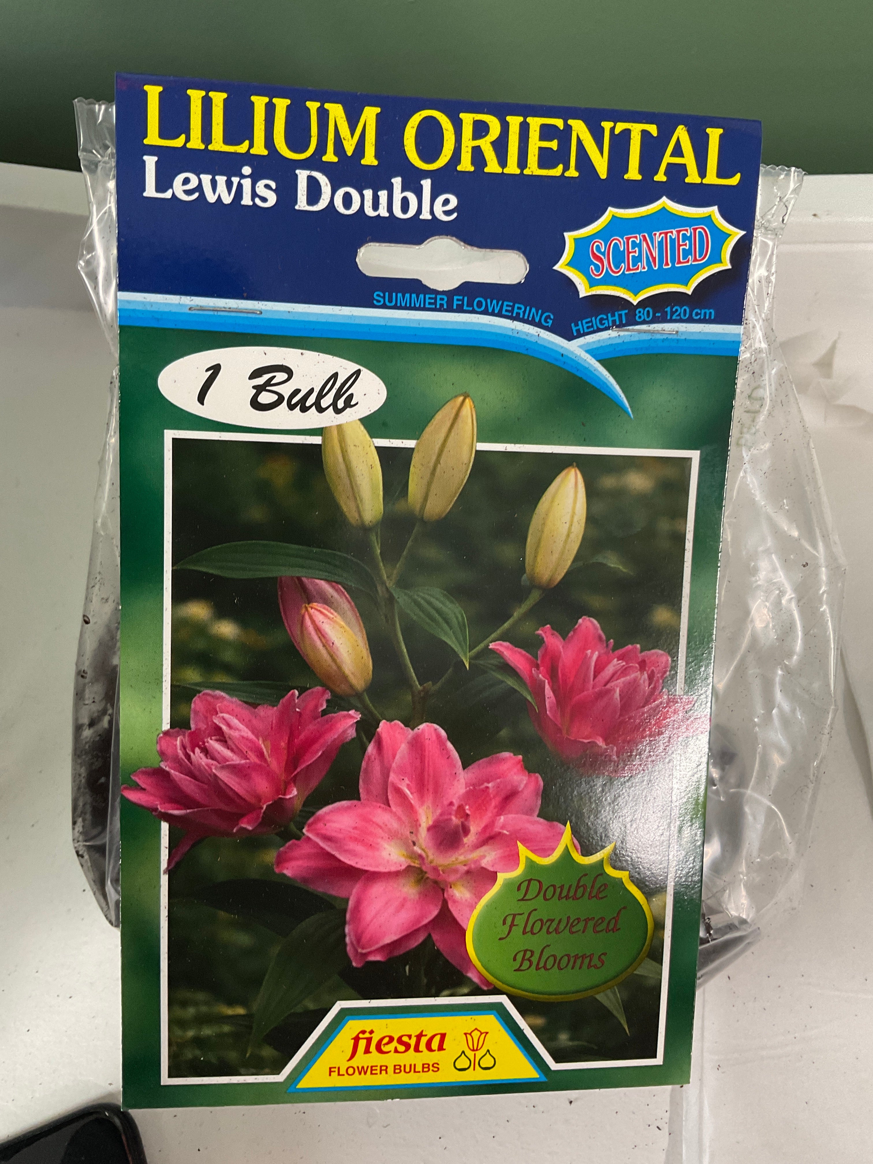 Lily - Lewis Double