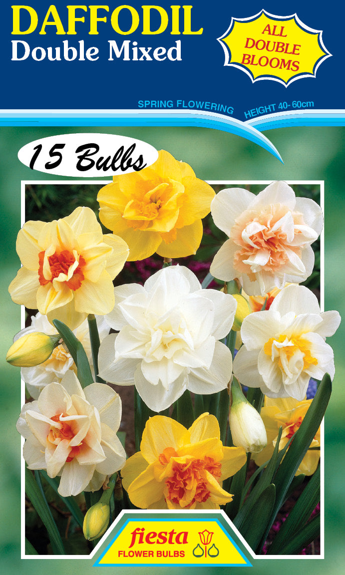 Bulb - DAFFODIL - Double mixed - P15