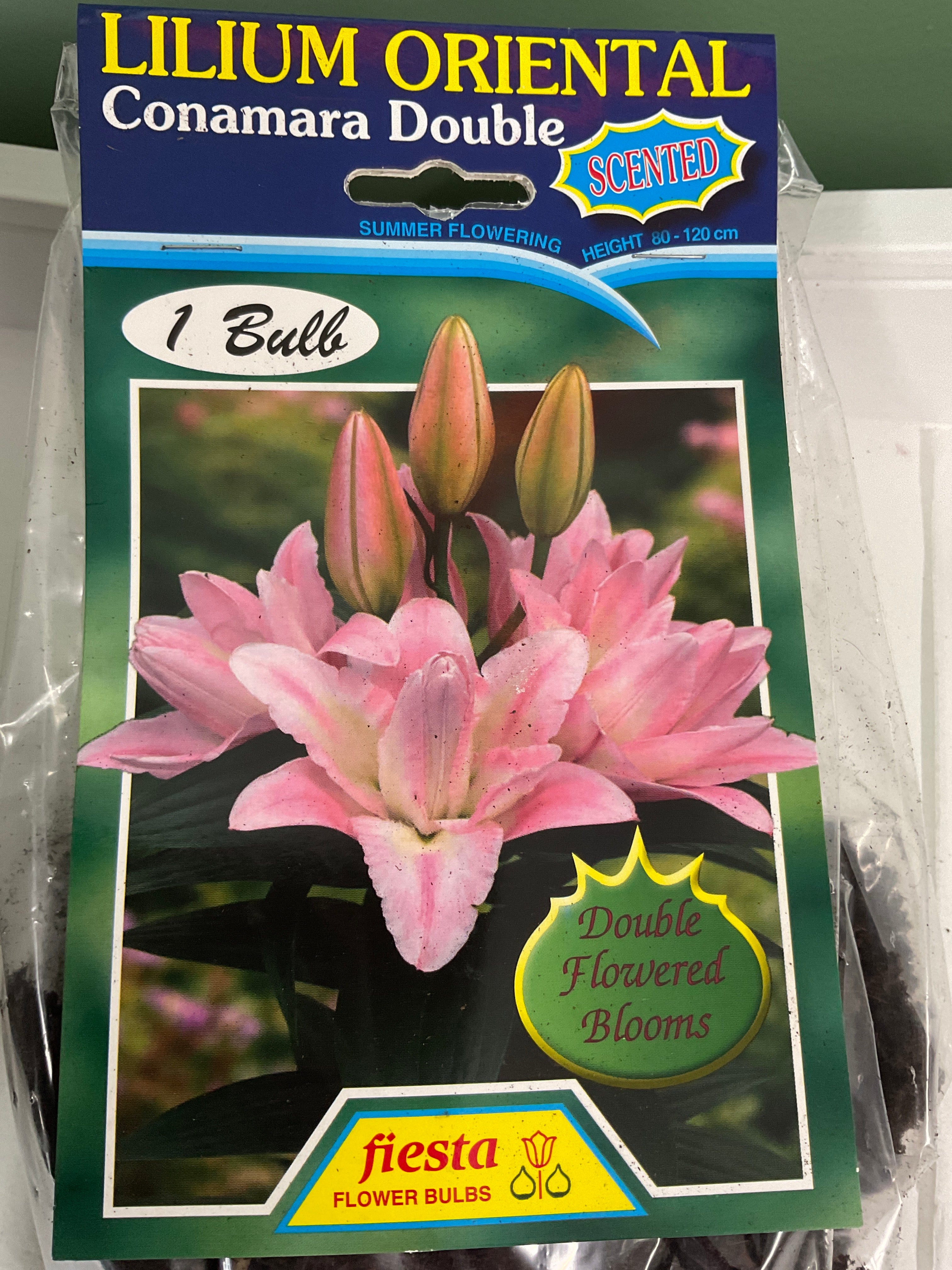 Lily - Conamara