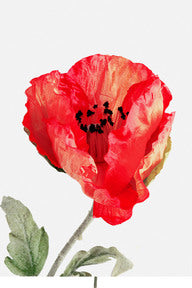 Artificial Flower - Poppy Red