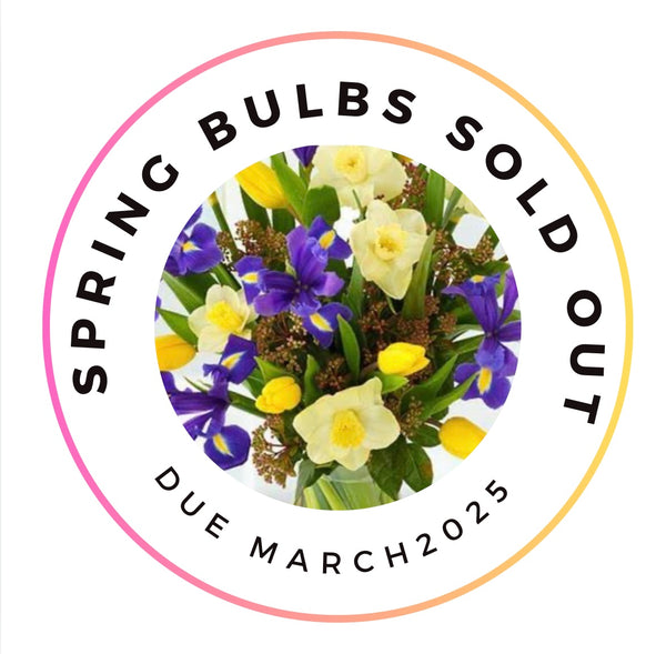 Spring Bulbs - Sold out for 2024