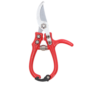 Rose Pruner - Stainless Steel