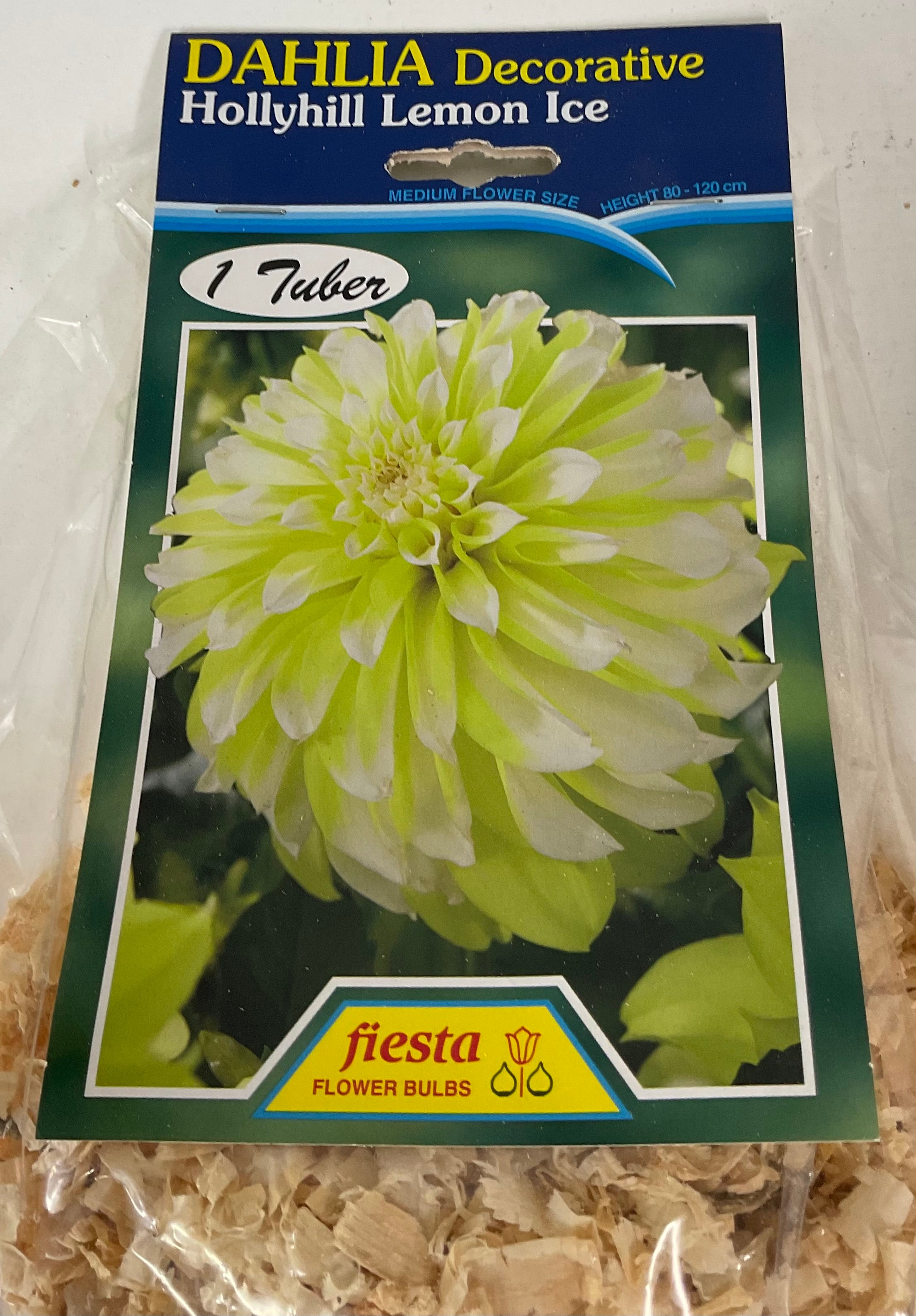 Dahlia Tuber - Hollyhill Lemon Ice