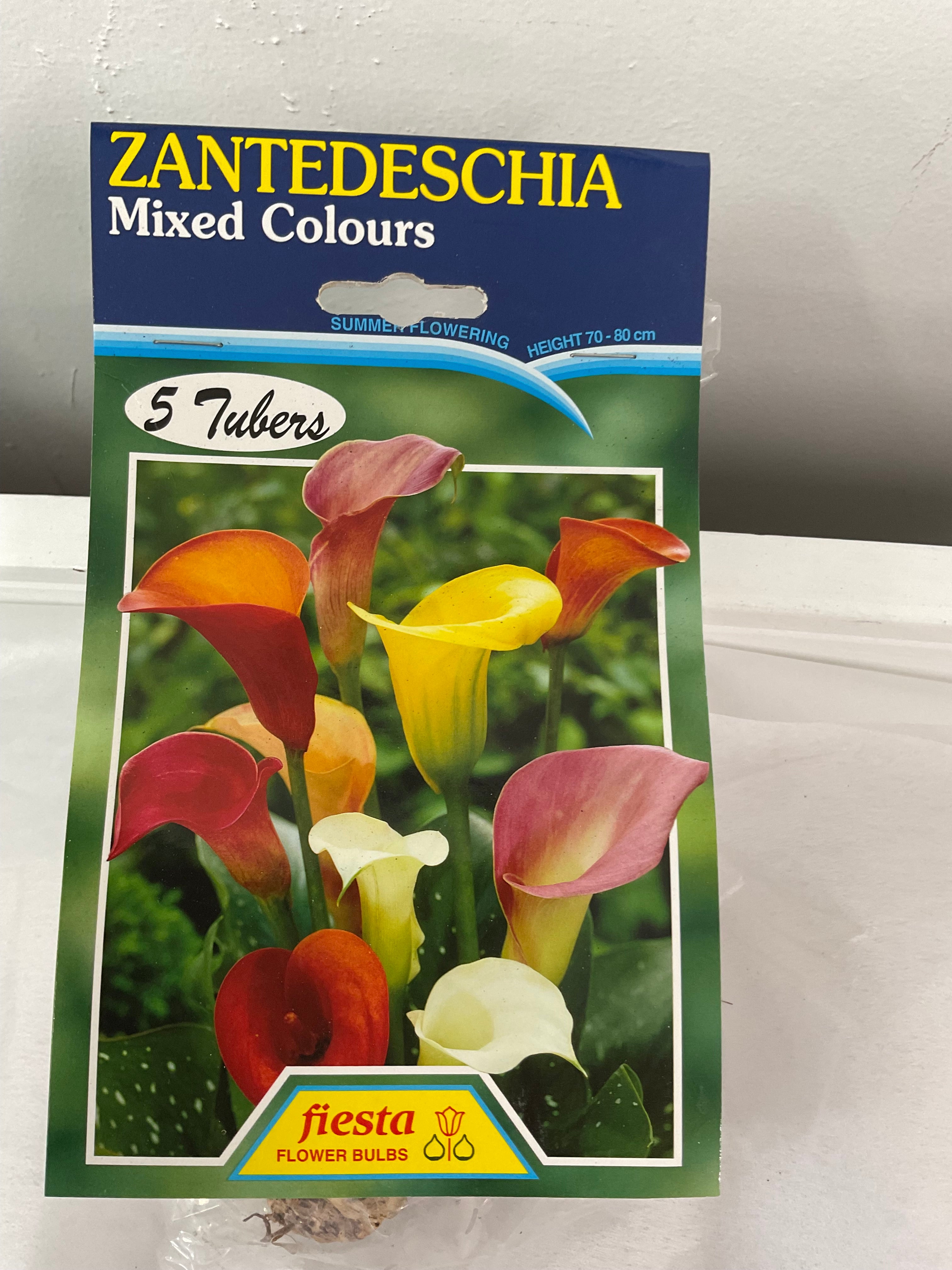 Summer Bulb - Calla - Mixed 5pk