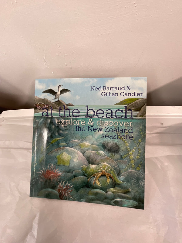 Kids Book - At the Beach