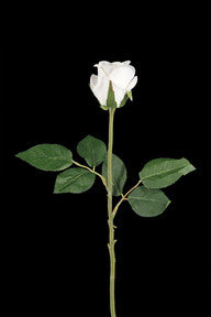Rose Artificial - Single Flocked Rose