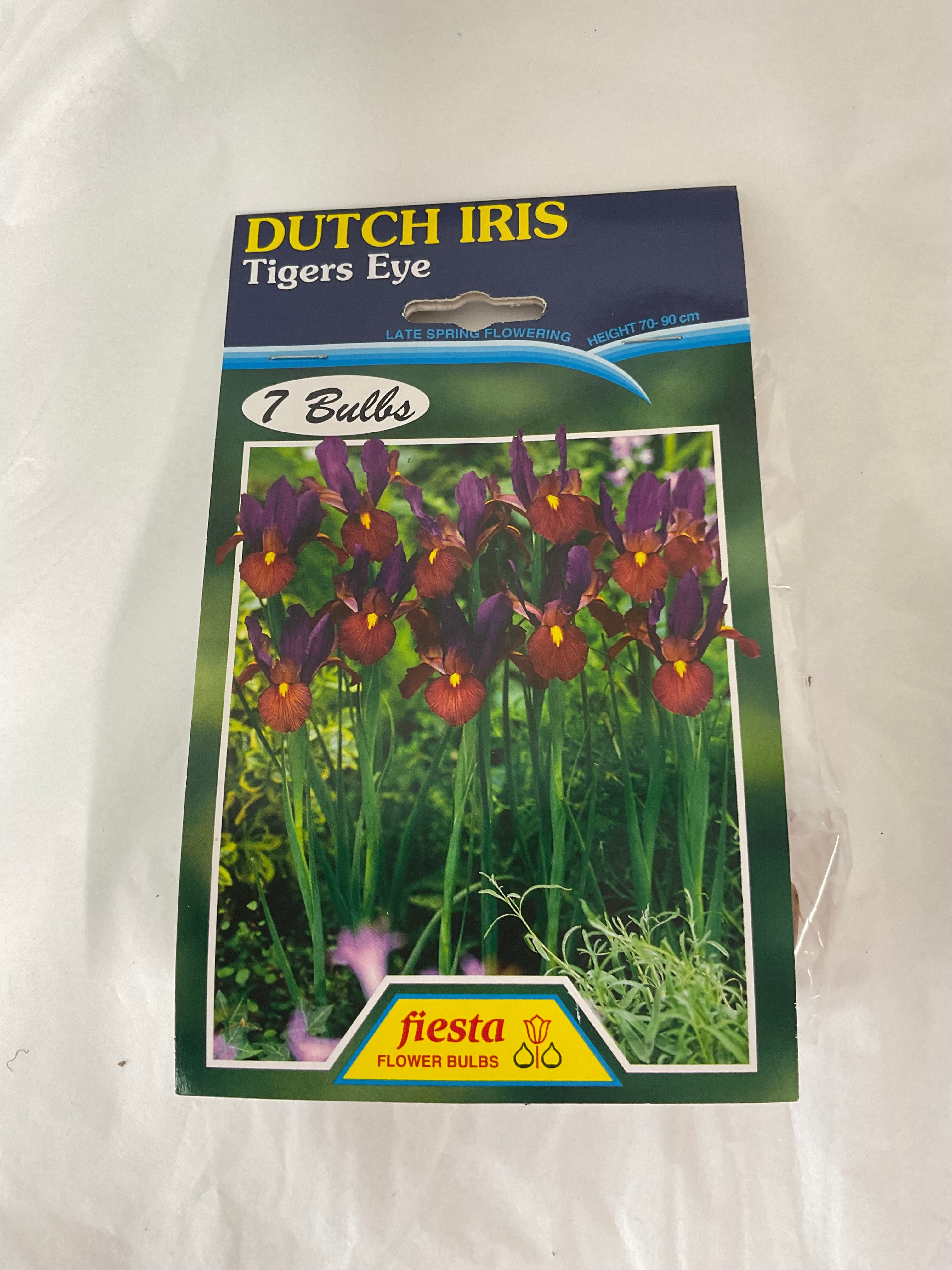 Bulb - DUTCH IRIS - Tigers Eye PK7