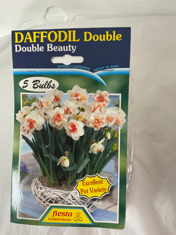 Bulb - DAFFODIL - Double Beauty