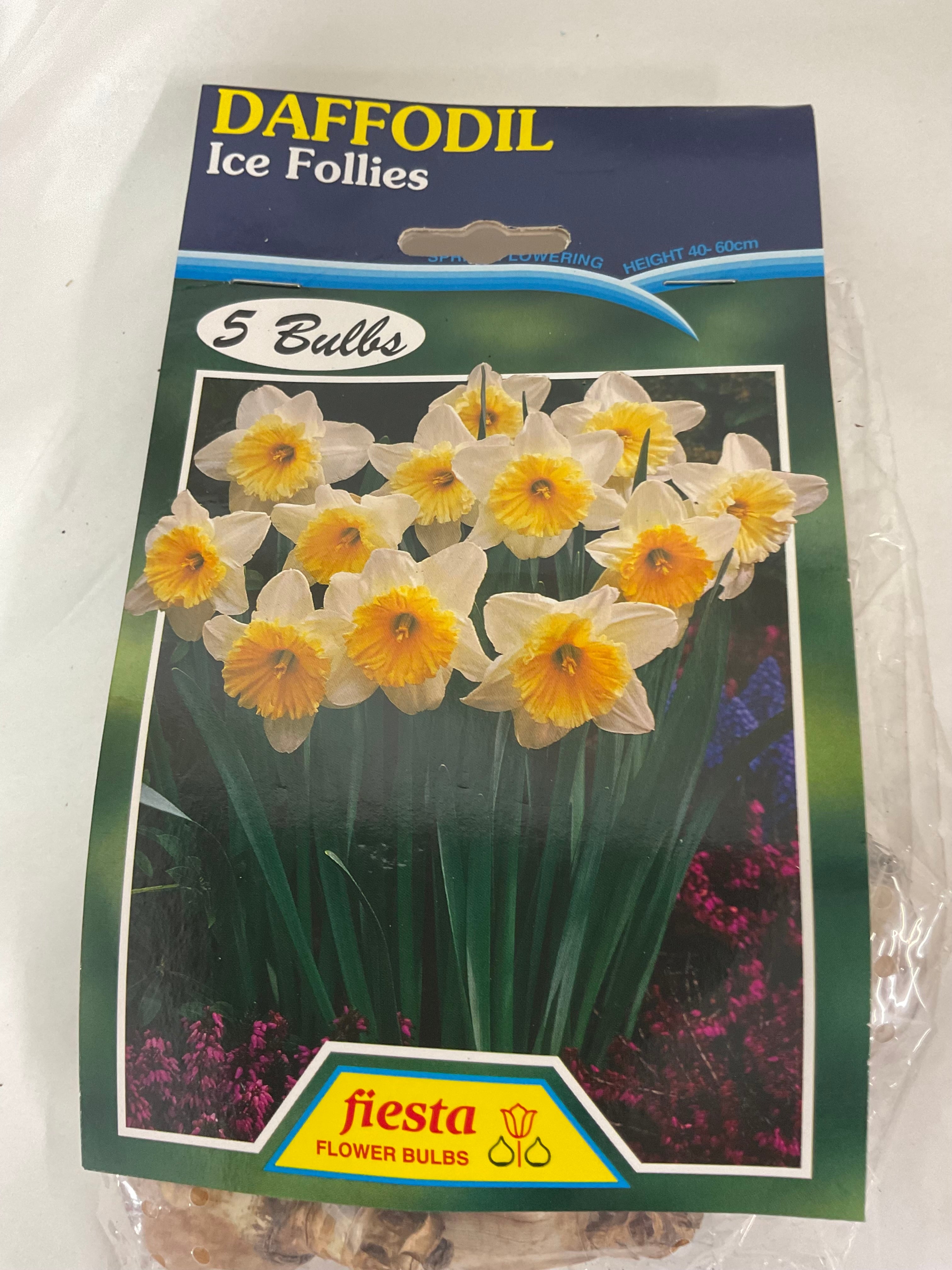 Bulb - DAFFODIL - Ice Follies