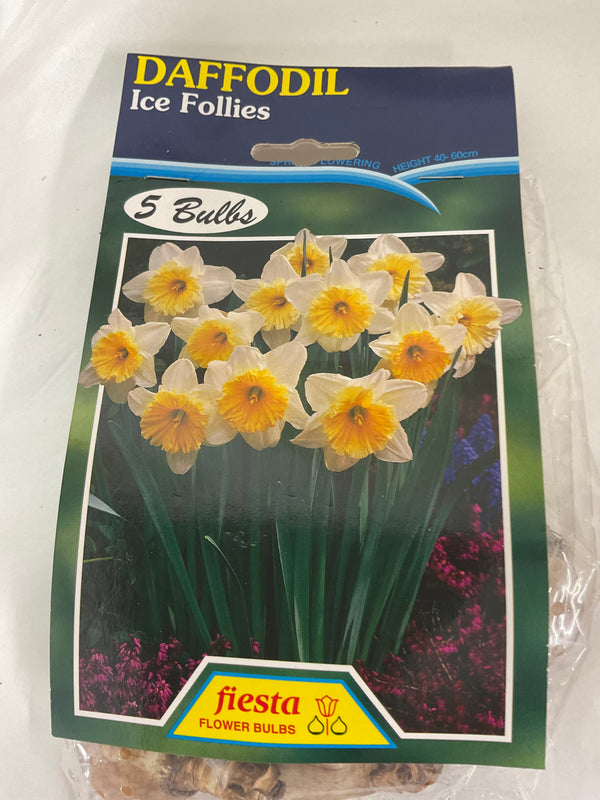 Bulb - DAFFODIL - Ice Follies