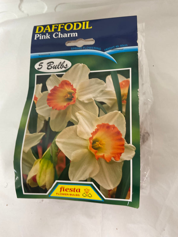 Bulb - DAFFODIL - Pink Charm