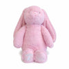Soft Toy - Flopsy Bunny