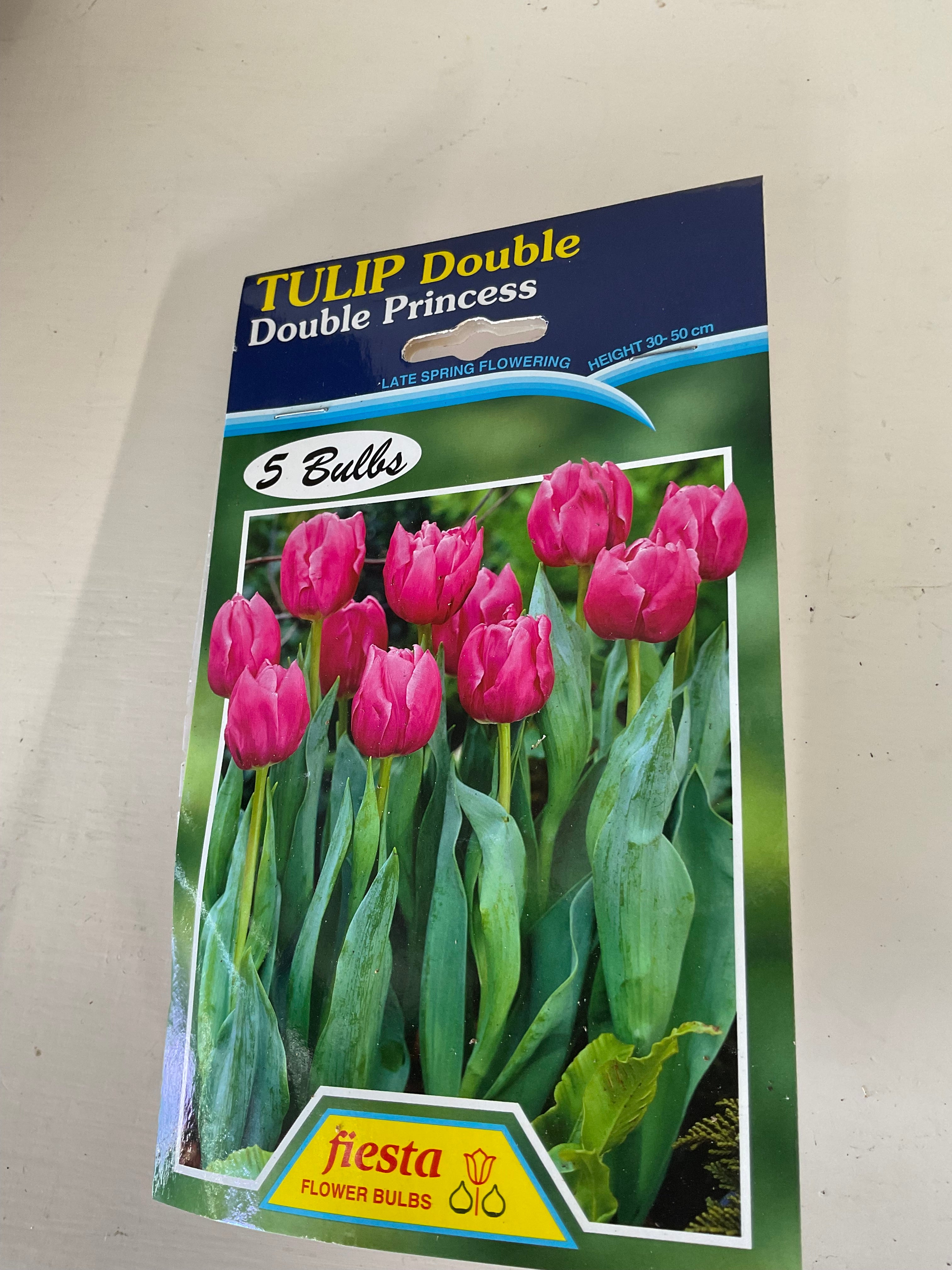 Bulb - TULIP - Double Princess