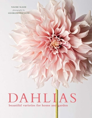 Book - Dahlias