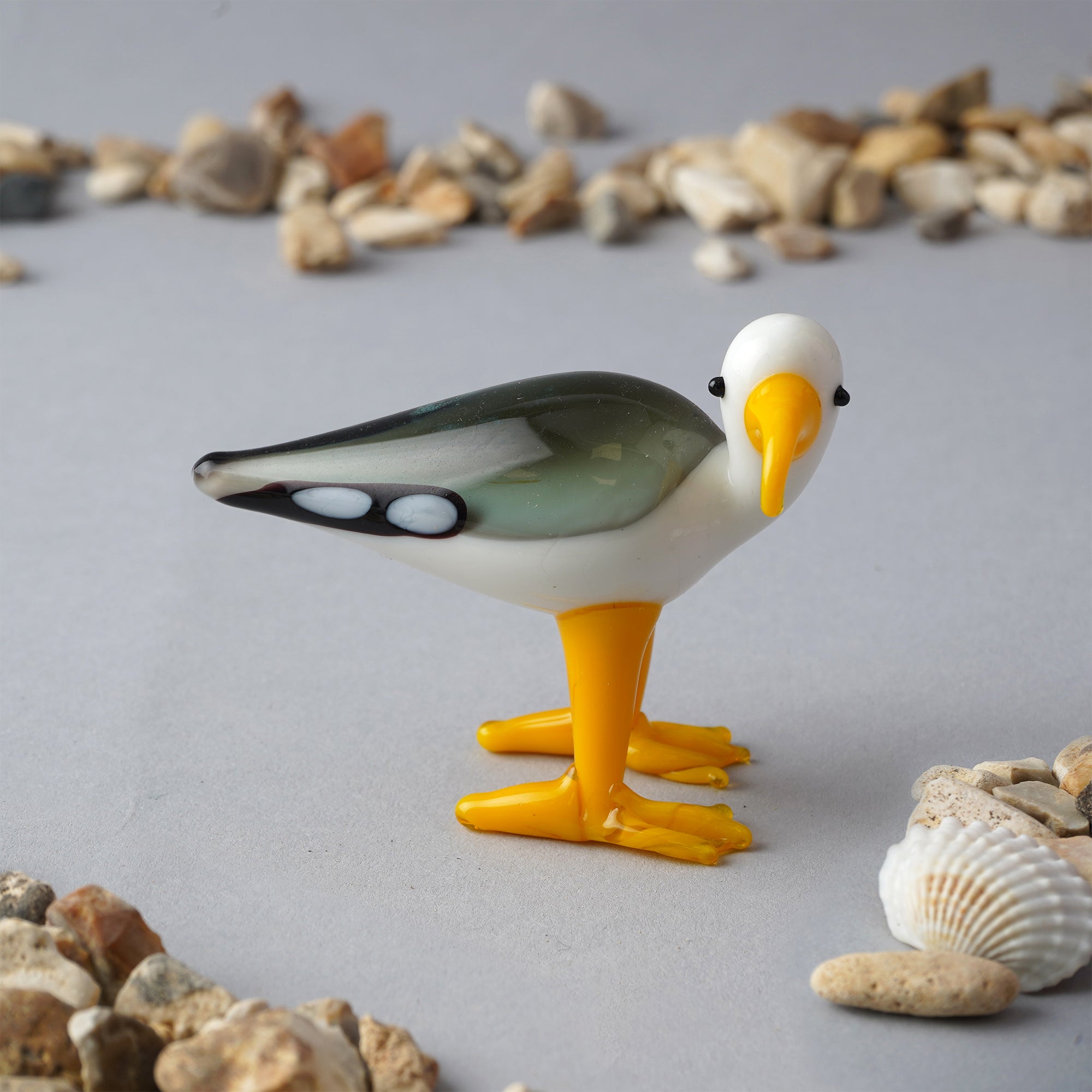 Glass Animal - Seagull
