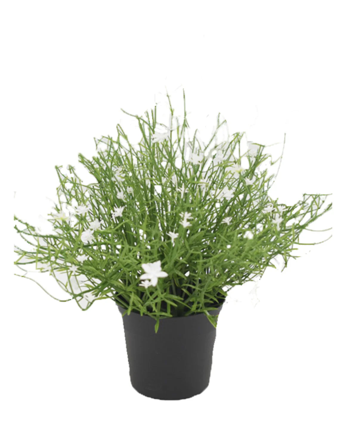 Artificial Potted Babies Breath Bush - White