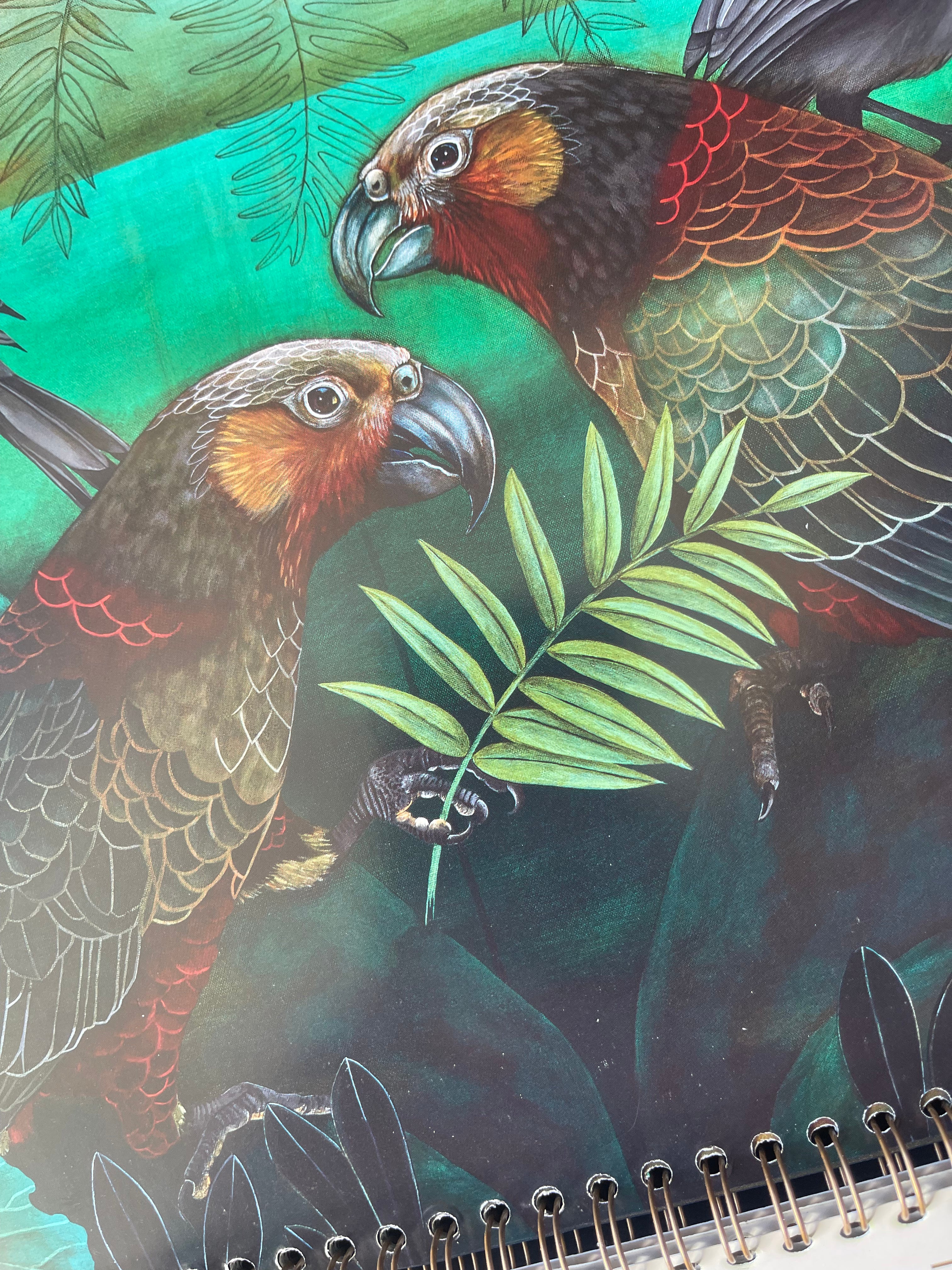 Wall Calendar - Kathryn Furniss NZ Birds 2026