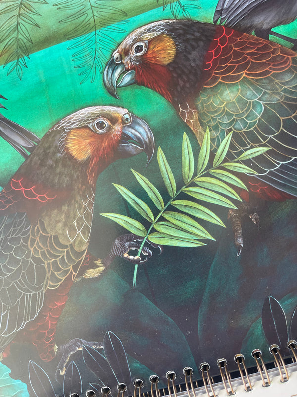 Wall Calendar - Kathryn Furniss NZ Birds 2026