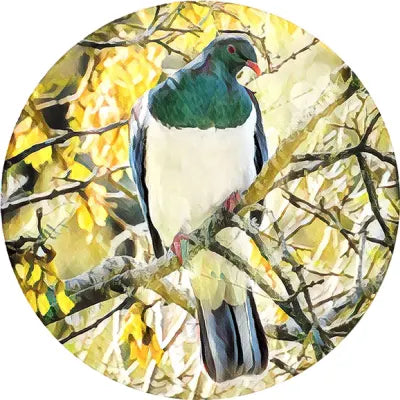 Coaster - NZ Birds Glass Set