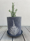 Eco Felt Grow Bag - Silver Fern 2