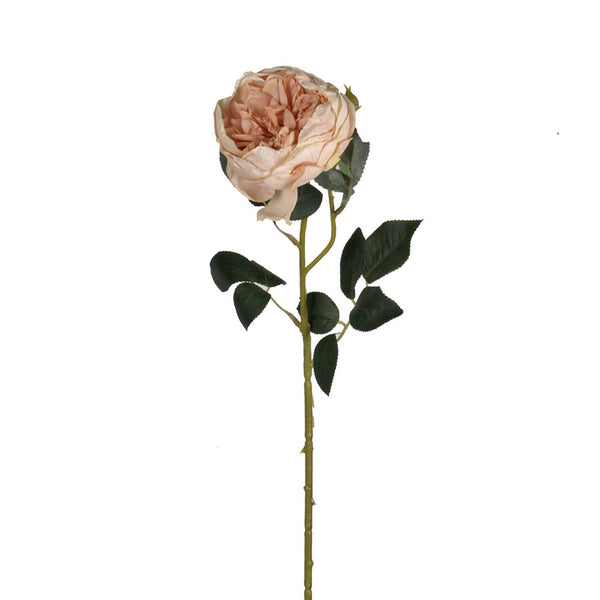 Artificial Flower - Austin Rose - Champagne