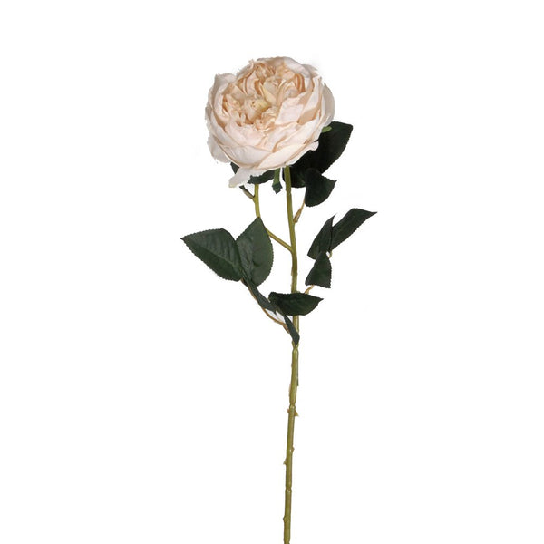 Artificial Flower - Austin Rose - Aged Cream