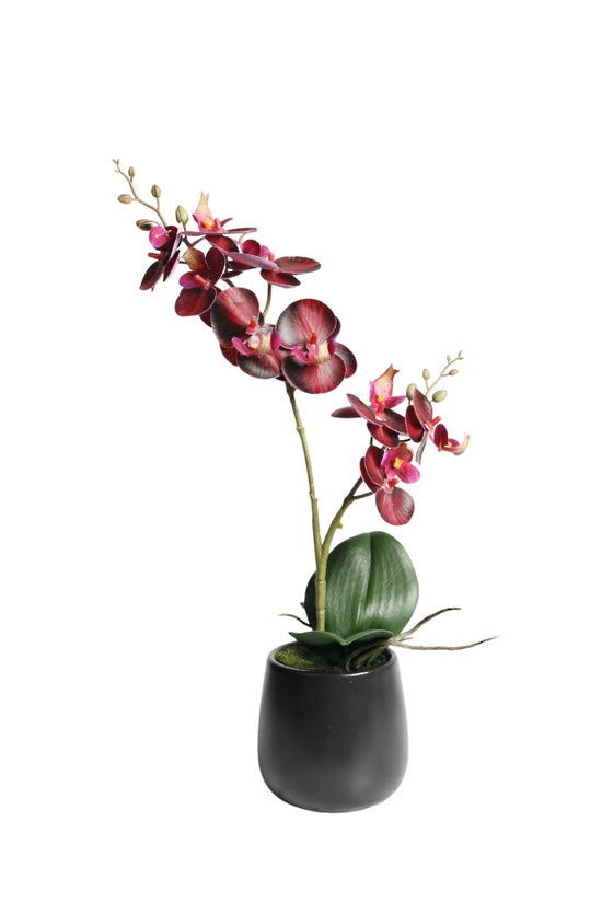 Artificial Plant - Phalaenopsis Orchid Red S