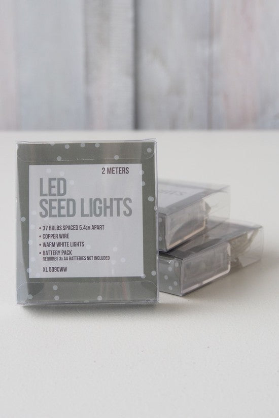 Christmas - Seed Lights - Warm white 2m
