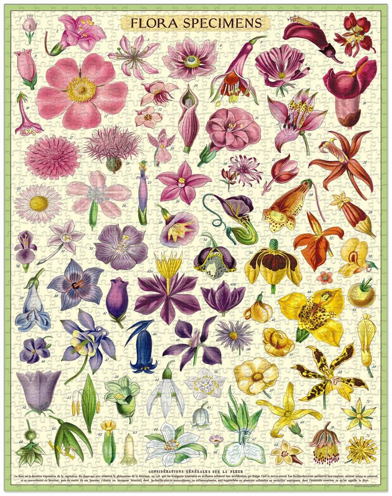 Vintage Puzzle - Flora Specimens