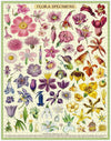 Vintage Puzzle - Flora Specimens