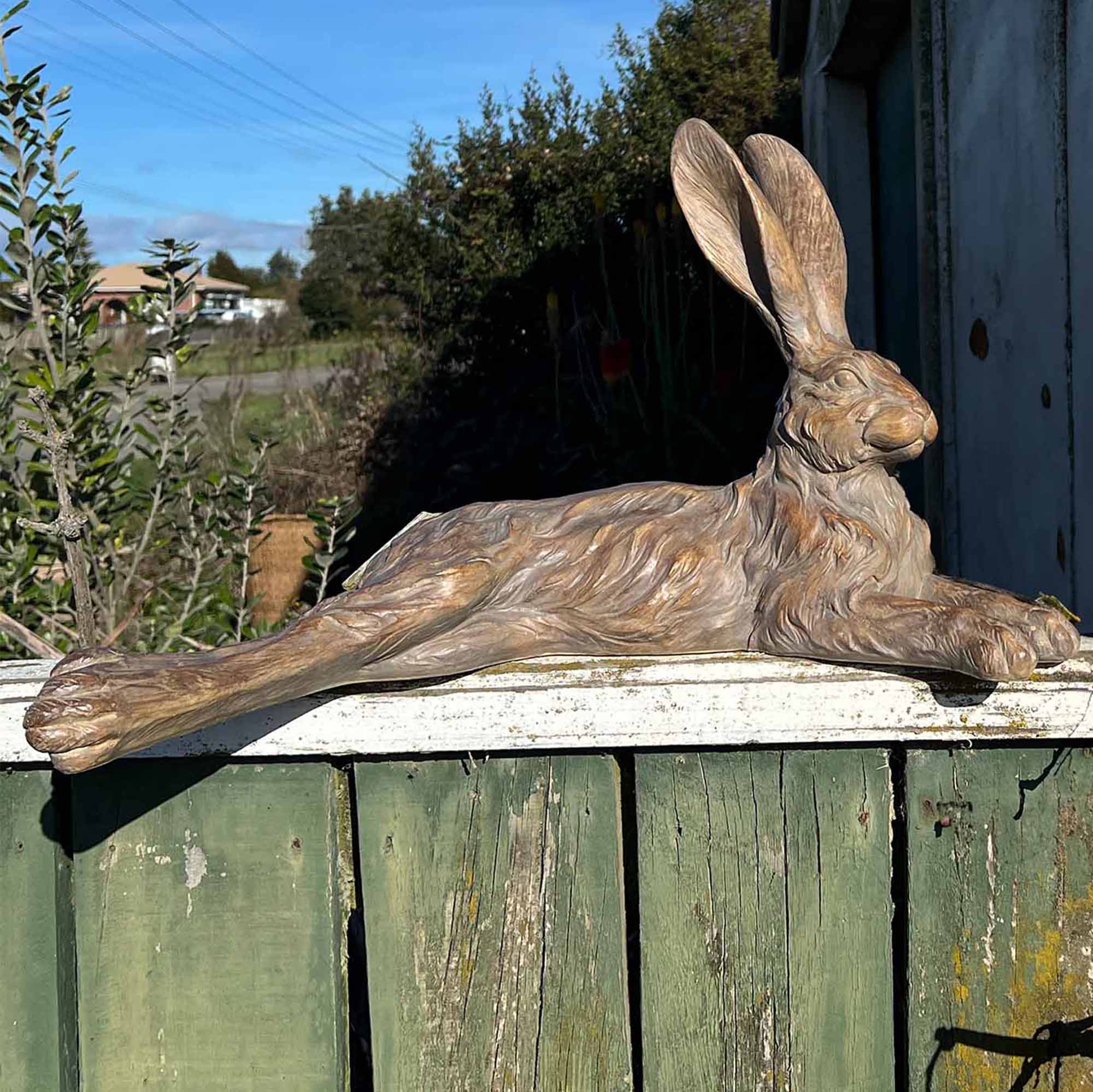 Country Hare - Resting Earth