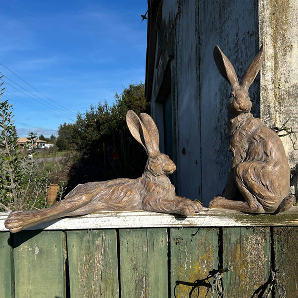 Country Hare - Resting Earth