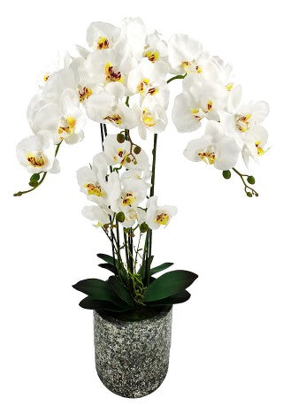 Plant - Artificial - XL Phalaenopsis Orchid