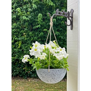 Nova Hanging Pot