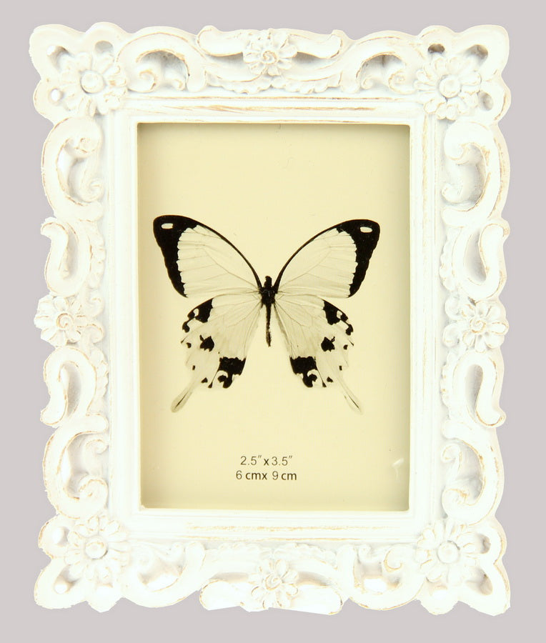 Photo Frame - Daisies  White