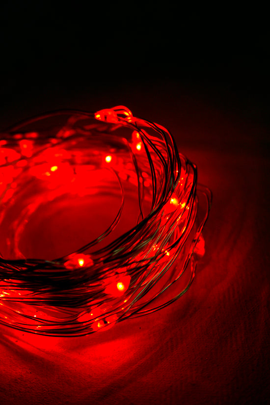 Christmas - Seed Lights - Red 5m