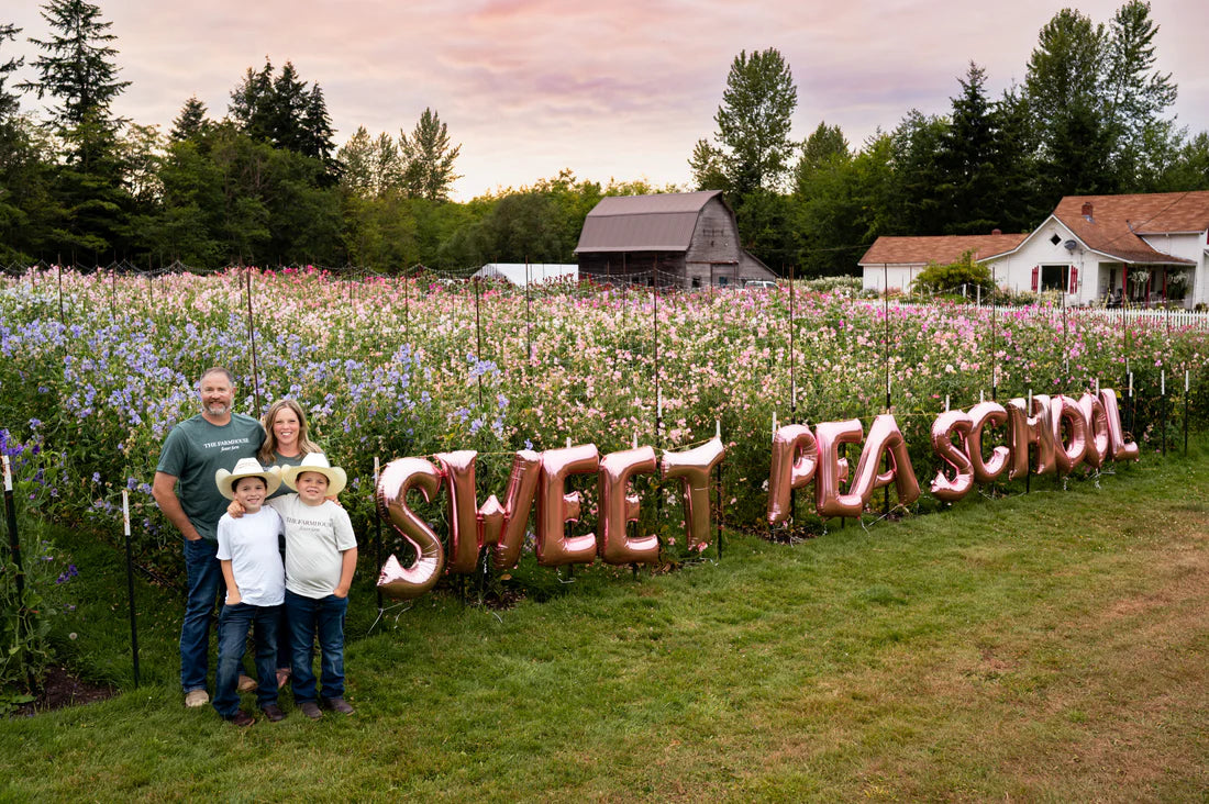 Book - Sweet Pea School