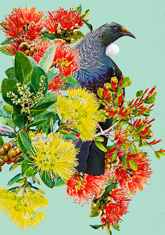 Christmas Card - Tui on Pohutukawa