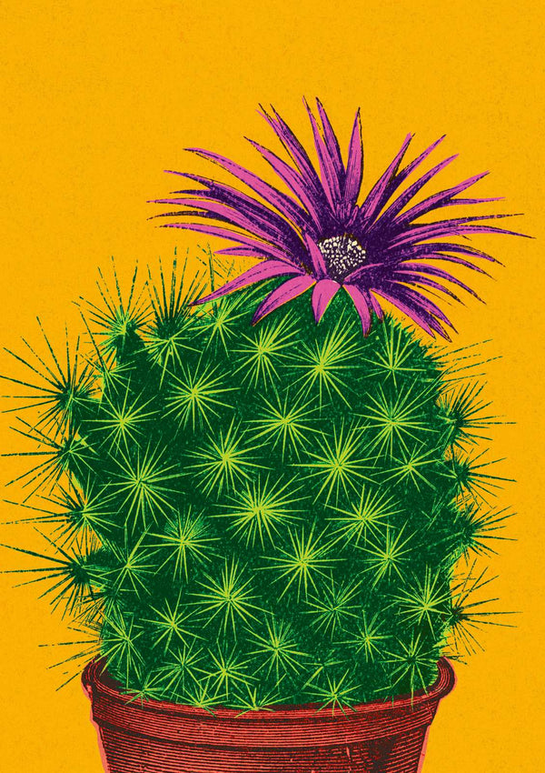 Card - Flowering Cactus