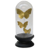 Butterfly Triple Cloche